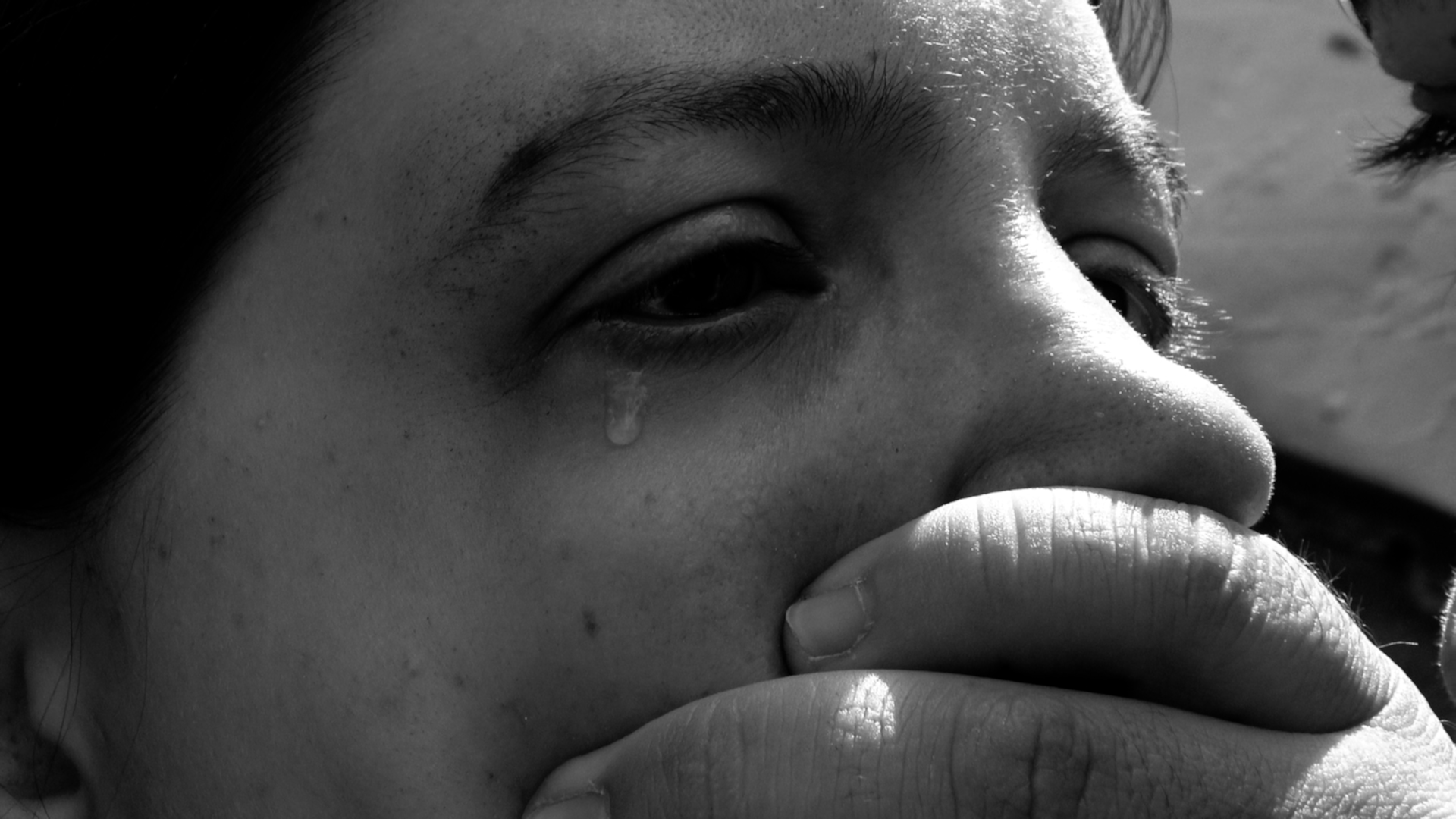 344276986 233098919338215 651285561486672853 n