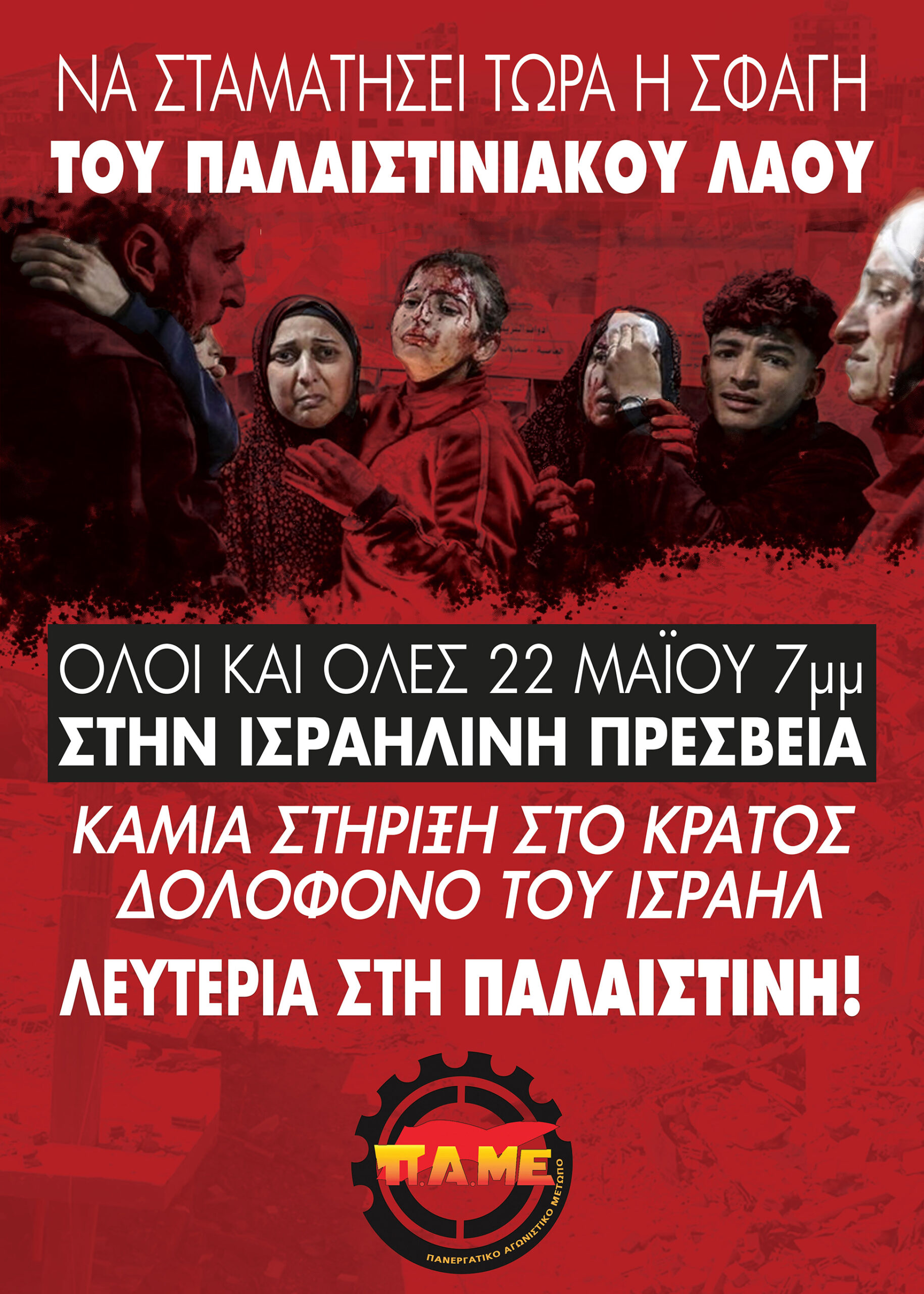 afisa palaistini scaled