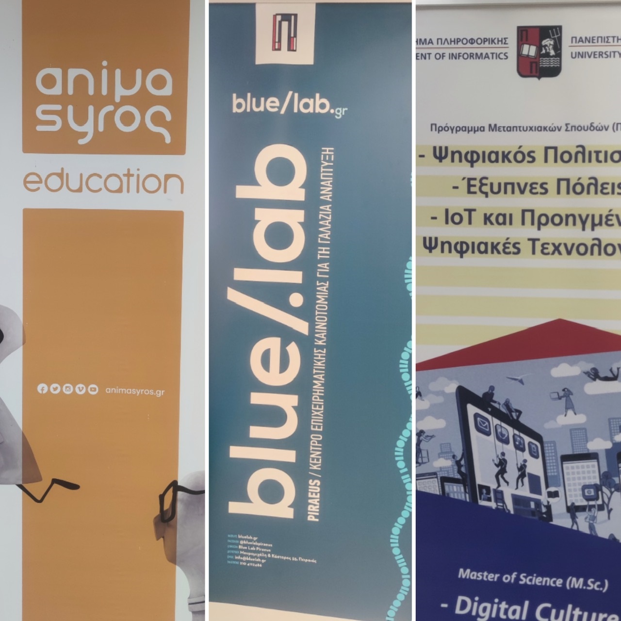 pireastime blue lab papi1