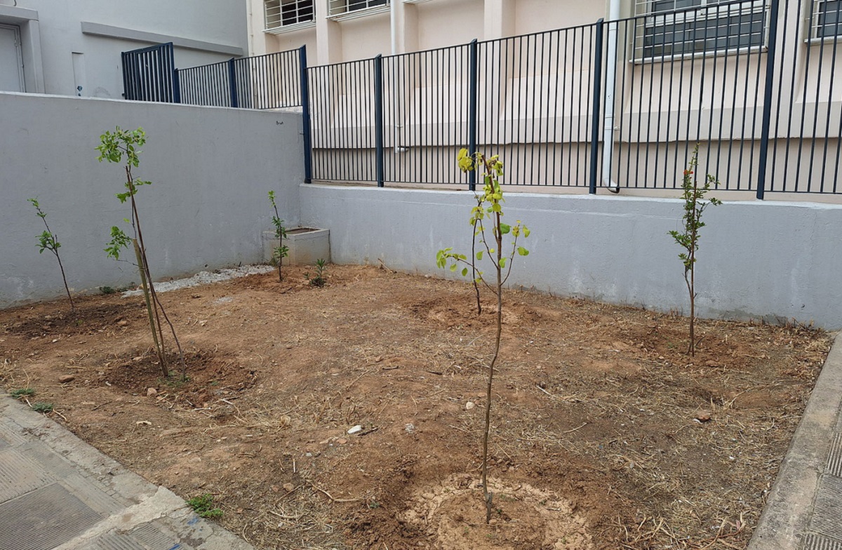 pireastime dentrofyteysi se sxoleia1