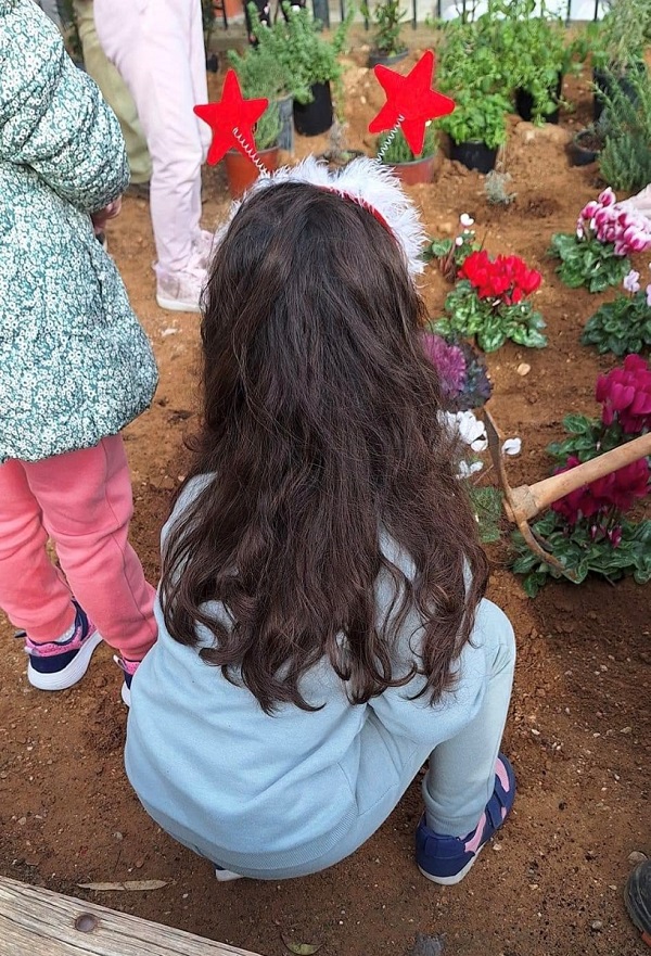 pireastime keratsini fyteoume sth geitonia mas1