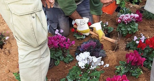 pireastime keratsini fyteoume sth geitonia mas2