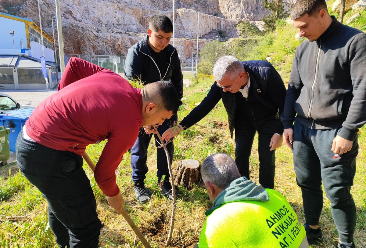 pireastime nikaia dentrofyteysi2