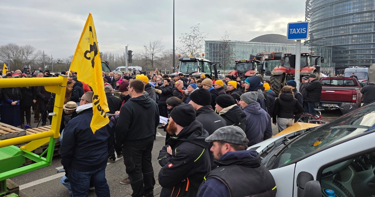 pireastime strasvourgo agrotes2