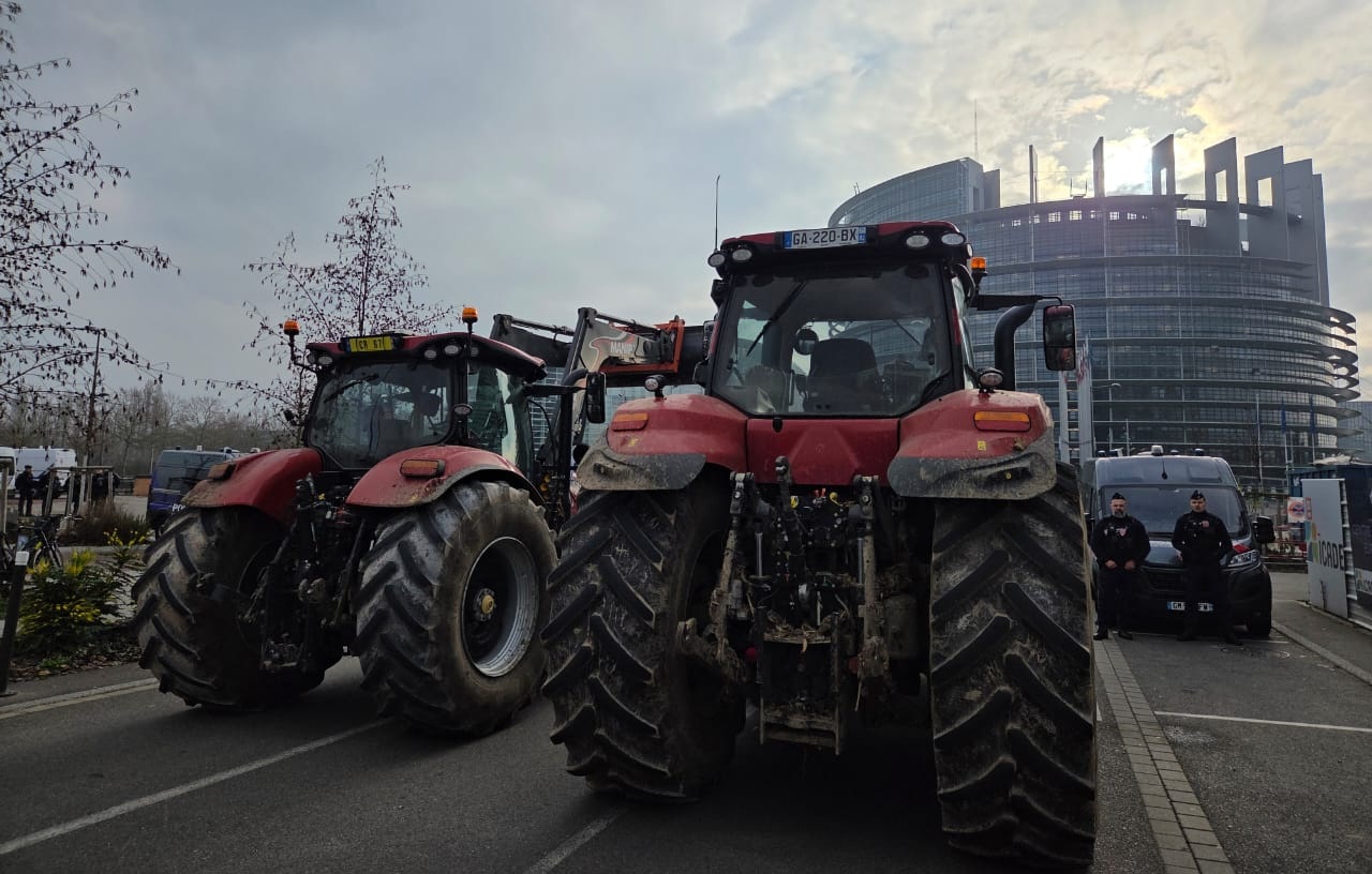 pireastime strasvourgo agrotes1