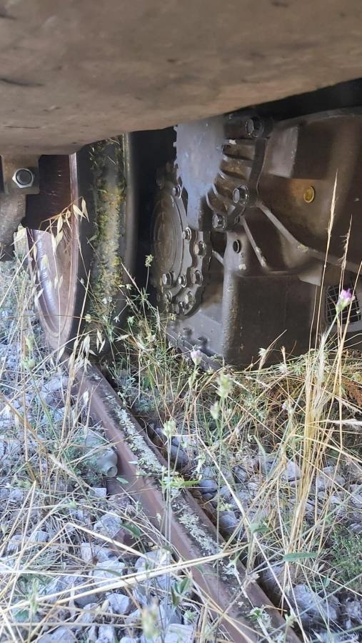 pireastime treno agrioxorta1